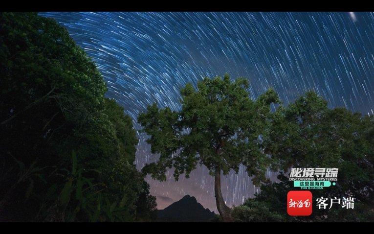 南方公园真理之杖